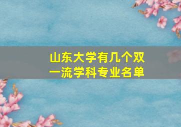 山东大学有几个双一流学科专业名单