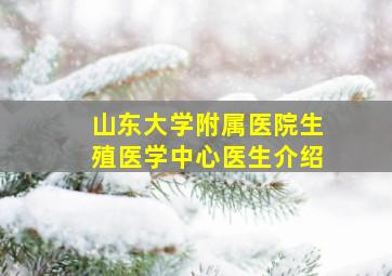 山东大学附属医院生殖医学中心医生介绍