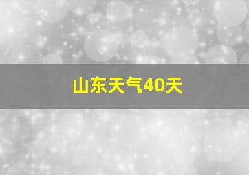 山东天气40天