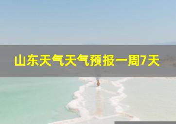 山东天气天气预报一周7天