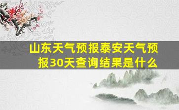 山东天气预报泰安天气预报30天查询结果是什么