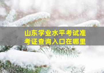 山东学业水平考试准考证查询入口在哪里