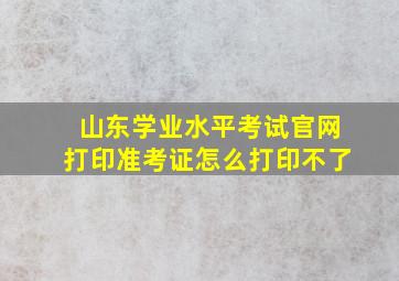 山东学业水平考试官网打印准考证怎么打印不了