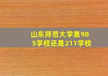 山东师范大学是985学校还是211学校