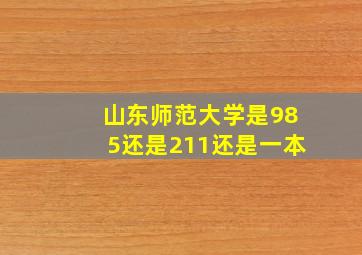 山东师范大学是985还是211还是一本