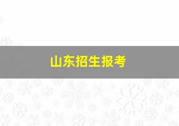 山东招生报考