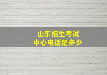 山东招生考试中心电话是多少