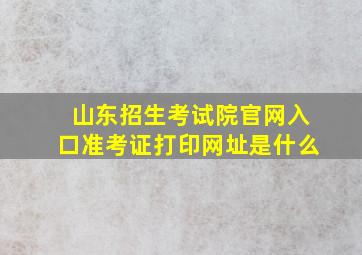 山东招生考试院官网入口准考证打印网址是什么