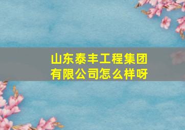 山东泰丰工程集团有限公司怎么样呀