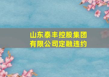 山东泰丰控股集团有限公司定融违约