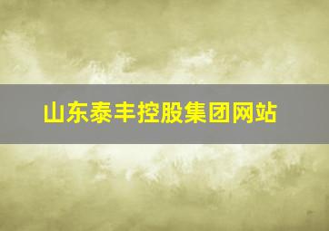 山东泰丰控股集团网站