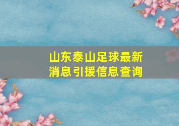 山东泰山足球最新消息引援信息查询