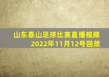 山东泰山足球比赛直播视频2022年11月12号回放