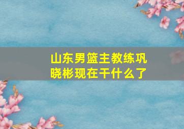 山东男篮主教练巩晓彬现在干什么了