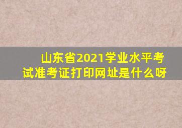 山东省2021学业水平考试准考证打印网址是什么呀