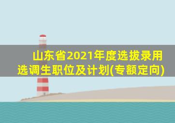 山东省2021年度选拔录用选调生职位及计划(专额定向)