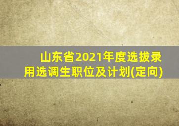 山东省2021年度选拔录用选调生职位及计划(定向)