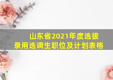 山东省2021年度选拔录用选调生职位及计划表格