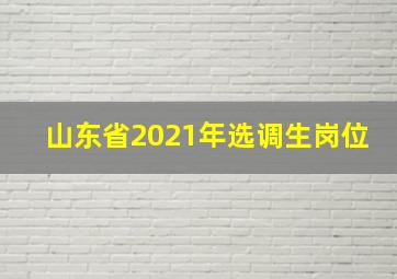 山东省2021年选调生岗位