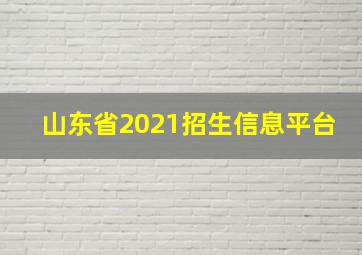 山东省2021招生信息平台