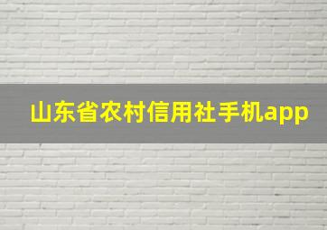 山东省农村信用社手机app