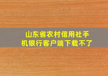 山东省农村信用社手机银行客户端下载不了