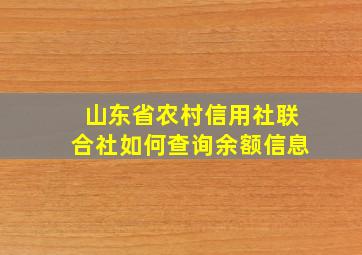 山东省农村信用社联合社如何查询余额信息