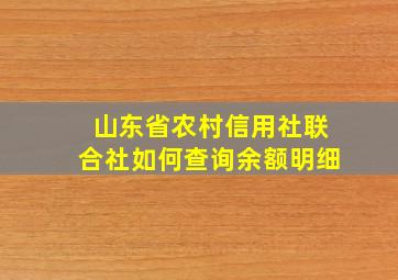 山东省农村信用社联合社如何查询余额明细