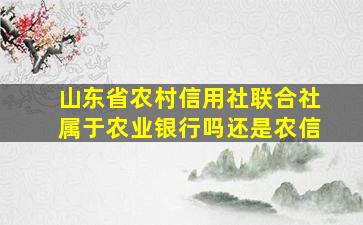 山东省农村信用社联合社属于农业银行吗还是农信