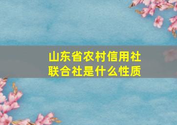 山东省农村信用社联合社是什么性质