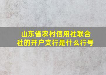 山东省农村信用社联合社的开户支行是什么行号