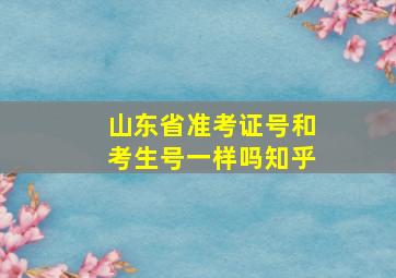 山东省准考证号和考生号一样吗知乎