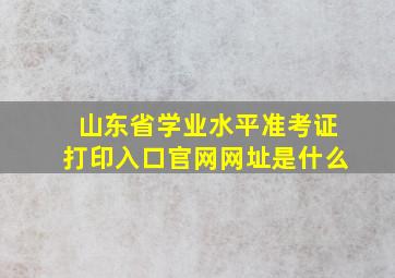 山东省学业水平准考证打印入口官网网址是什么