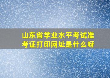 山东省学业水平考试准考证打印网址是什么呀