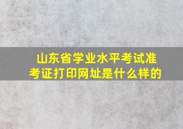 山东省学业水平考试准考证打印网址是什么样的