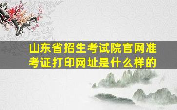 山东省招生考试院官网准考证打印网址是什么样的