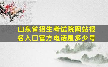 山东省招生考试院网站报名入口官方电话是多少号