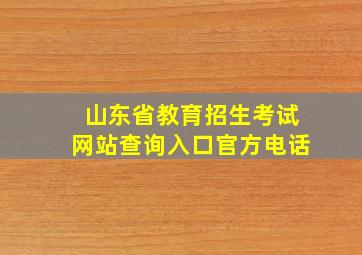 山东省教育招生考试网站查询入口官方电话