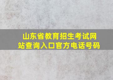 山东省教育招生考试网站查询入口官方电话号码