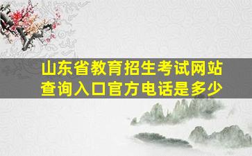 山东省教育招生考试网站查询入口官方电话是多少