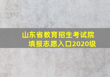 山东省教育招生考试院填报志愿入口2020级