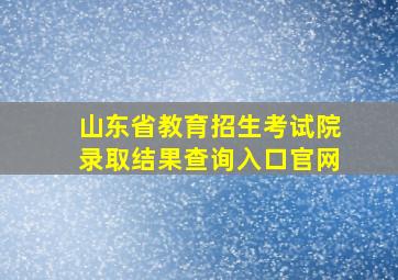 山东省教育招生考试院录取结果查询入口官网