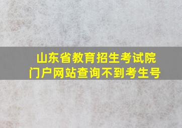 山东省教育招生考试院门户网站查询不到考生号