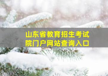 山东省教育招生考试院门户网站查询入口