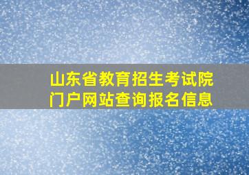 山东省教育招生考试院门户网站查询报名信息