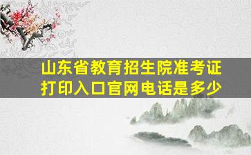 山东省教育招生院准考证打印入口官网电话是多少