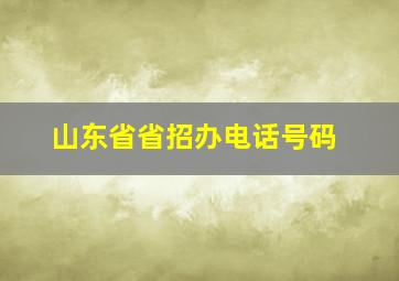 山东省省招办电话号码