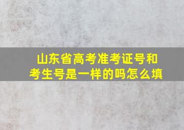 山东省高考准考证号和考生号是一样的吗怎么填