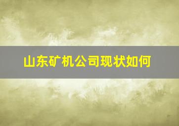 山东矿机公司现状如何