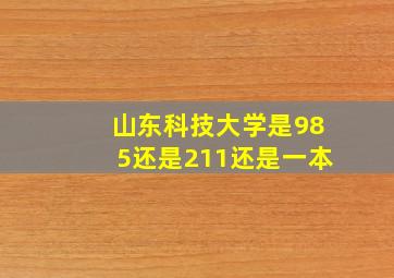 山东科技大学是985还是211还是一本